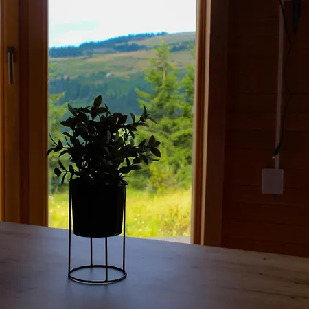 Oaza Mira & Resort-فندق ومنتجع واحة الهدوء Vlasic